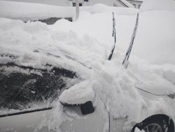 雪に埋まる車