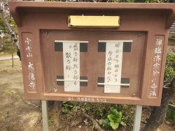 大龍寺宮子さん俳句