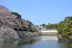’25Apr.7 彦根城